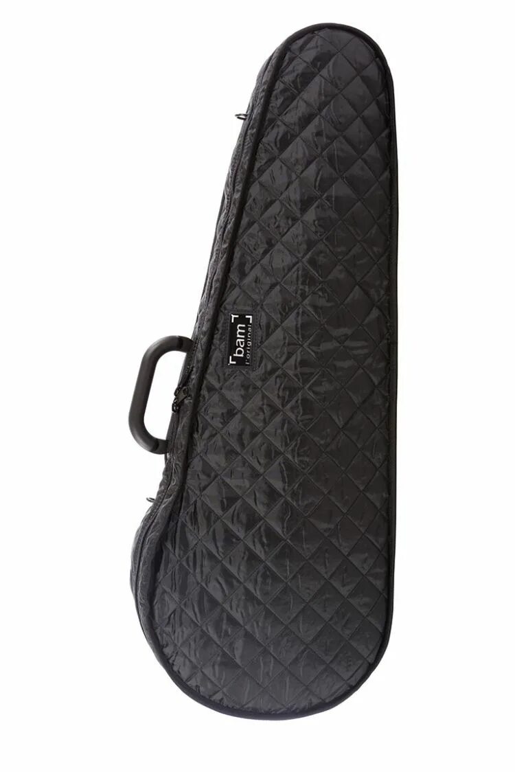 Ho cases