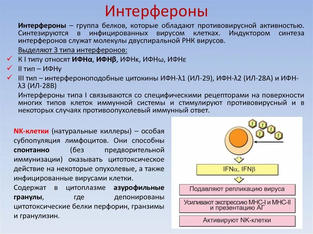 В составе 3 активных. Интерфероны иммунология. Интерферона 2 функция. Противовирусные типы интерферонов. Интерфероны роль в иммунитете.