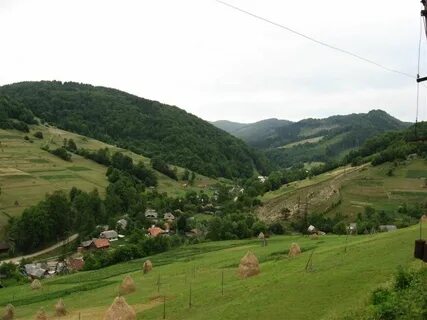 Закарпатская область села