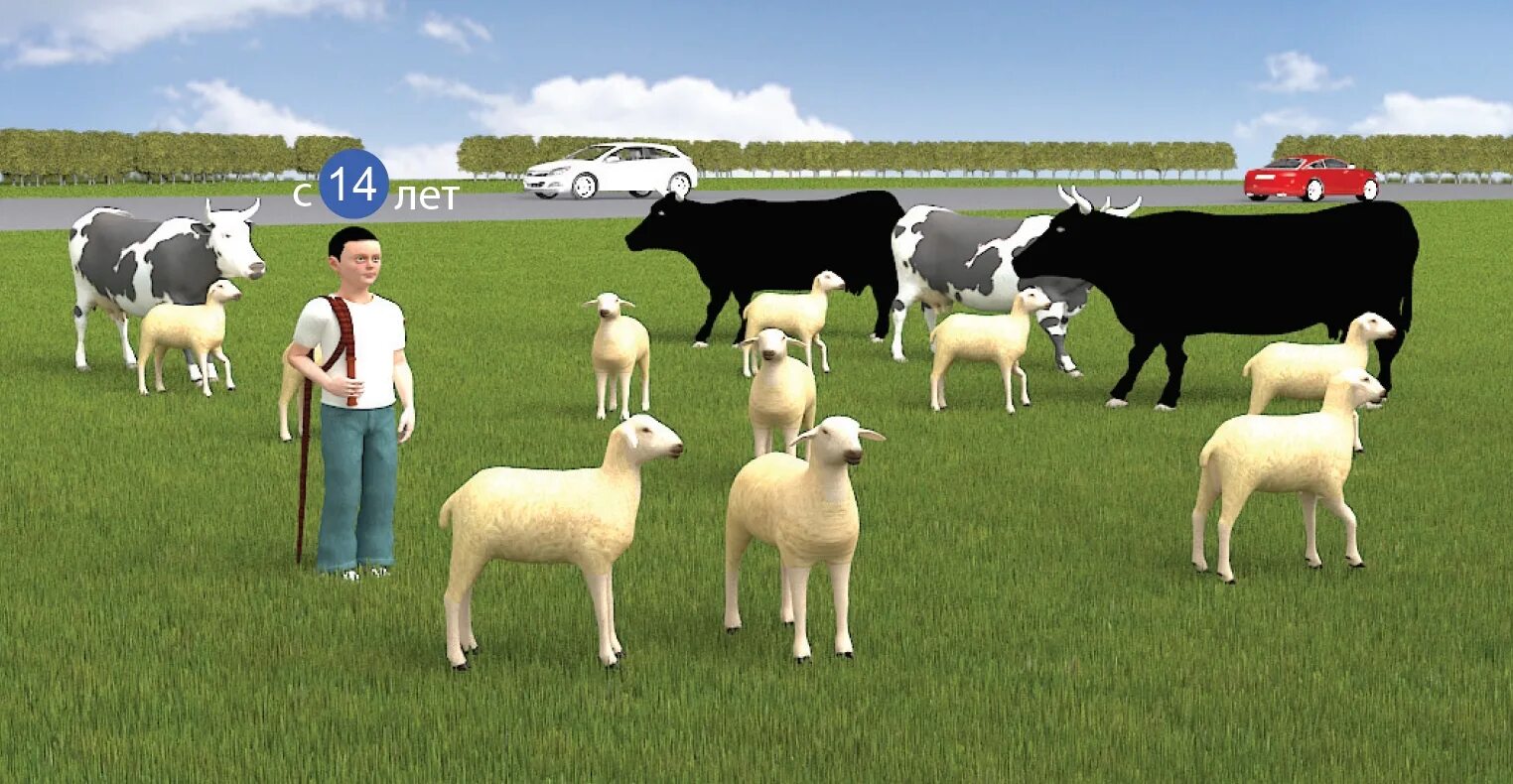 Прогон скота. Перегон животных. Гурт скота. Прогон скота. Выпас скота на железной дороге.