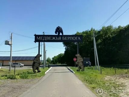Турбаза медвежье воронеж