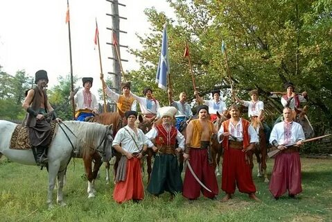 Организация запорожских