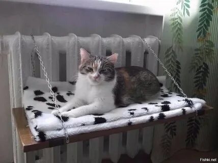 Классно придумала