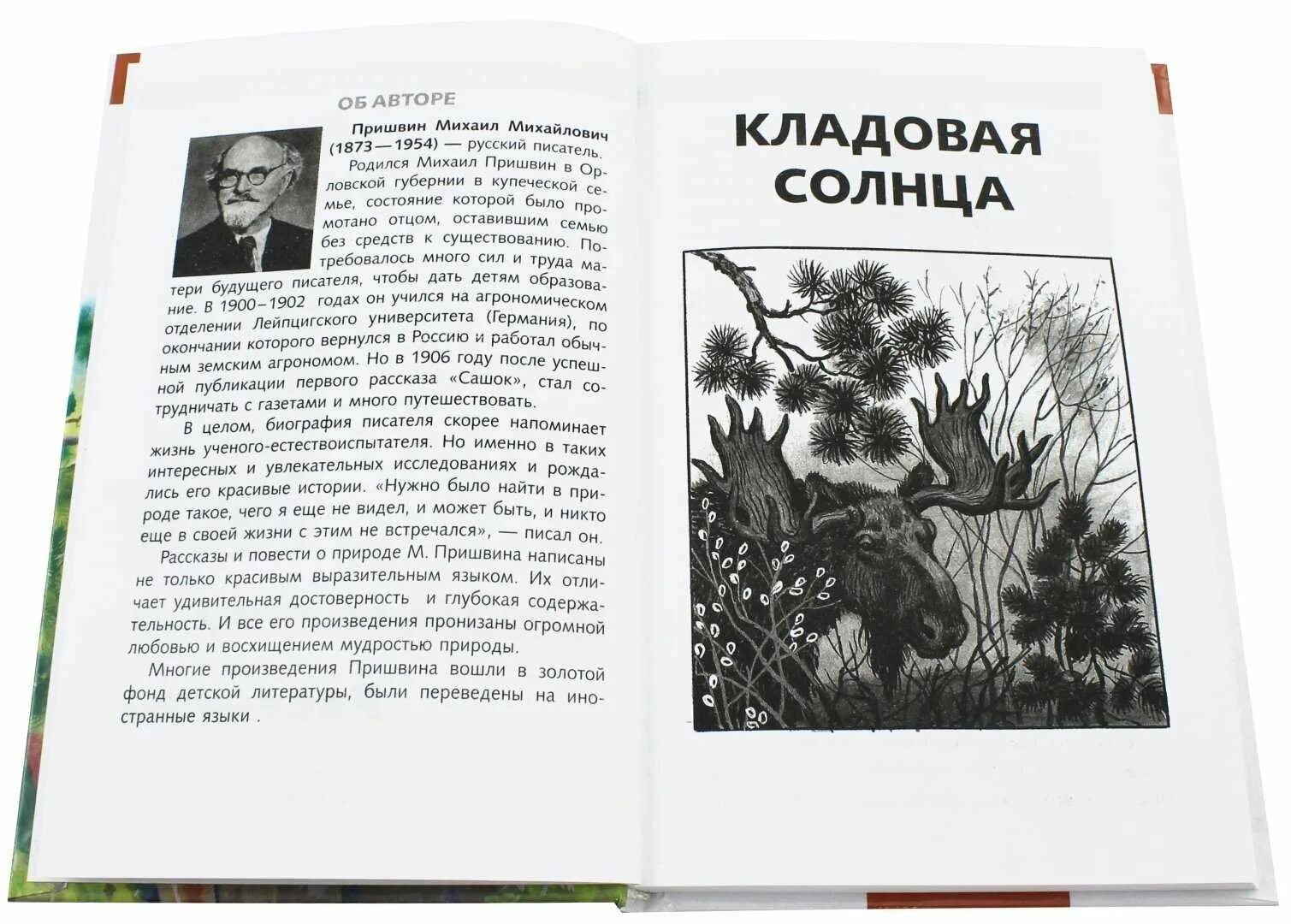 Рассказ михаила пришвина кладовая солнца. «Кладовая солнца» м. м. Пришвина (1945).. М.М.пришвин книга кладовая солнца. Рассказ Пришвина кладовая солнца.