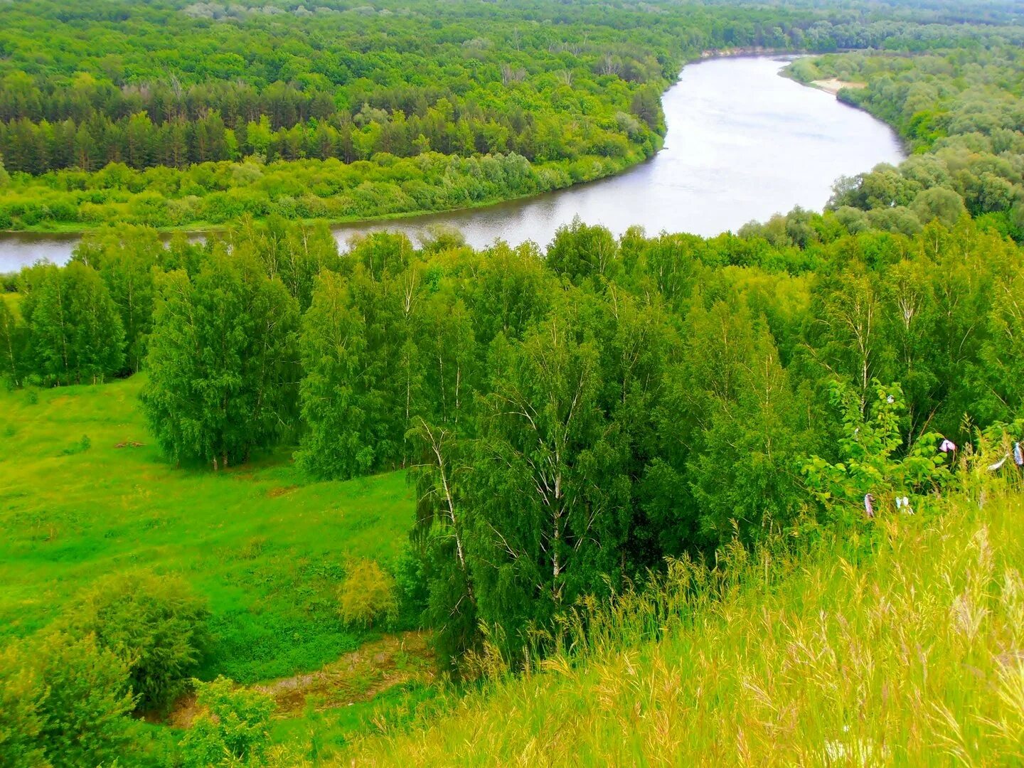 Птичий полет козловка чувашия река волга. Река цивиль чувашская республика. Река чуваш. Чувашия волга. Река сура в чувашии.