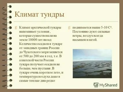 Какая влажность в тундре