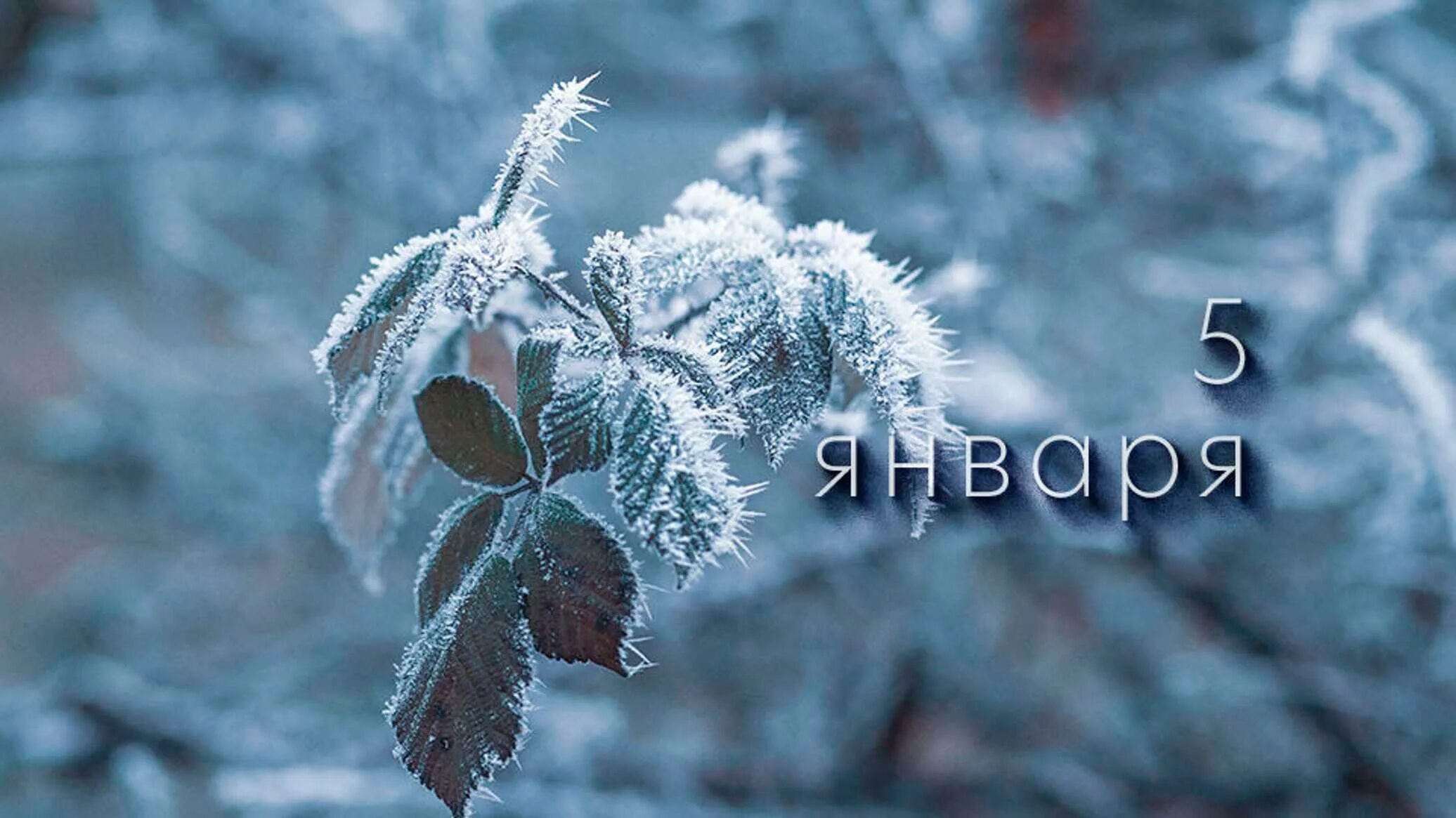 С новым годом 2023. Календарь 5 дней. 2 5 января. Анимированная открытка скоро новый год. Свободные окошки новогодние.