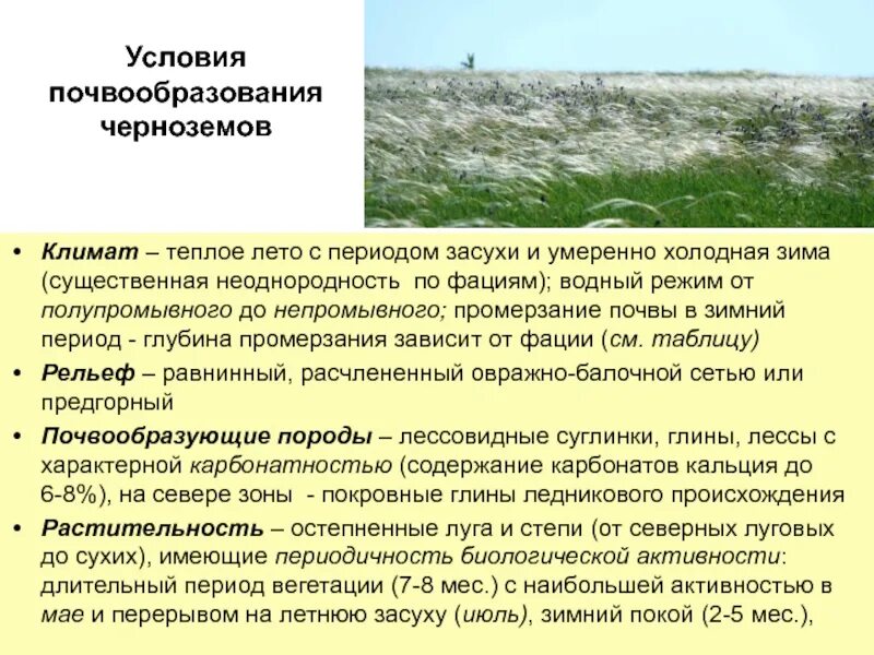 В степной зоне при недостаточном увлажнении
