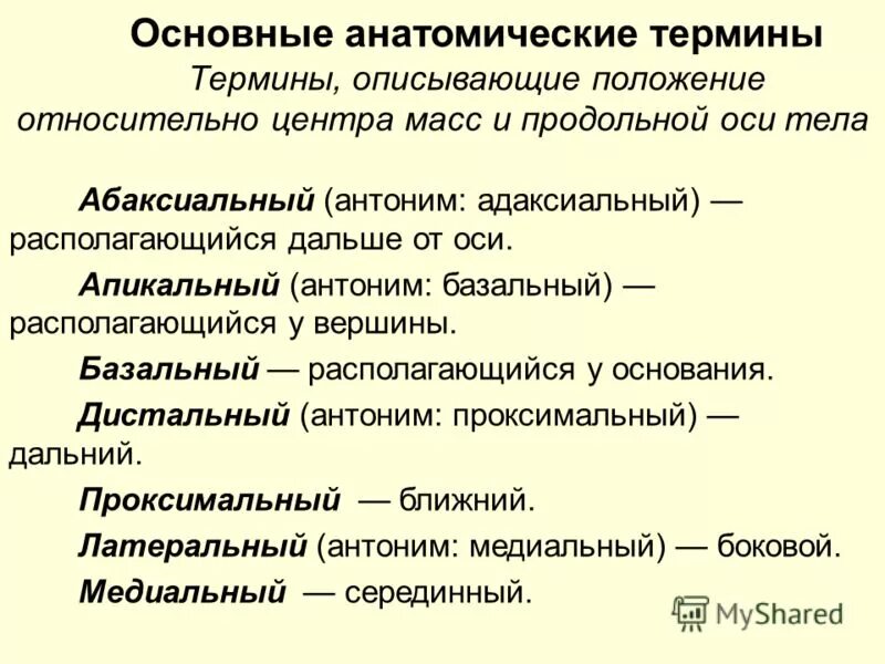 Основные понятия и термины используемые. Анатомические термины. анатомическая терминология анатомия. основные анатомические термины и понятия. термины описывающие положение относительно продольной оси тела.