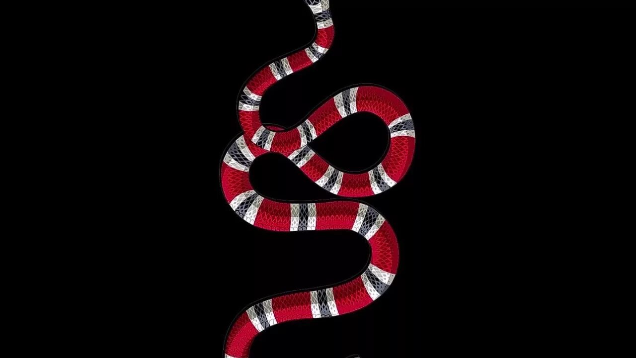 Черно красно белые змеи. Гуччи Gucci змея. Змея Аспид гуччи. Символ гуччи змея. Черная змея гуччи.