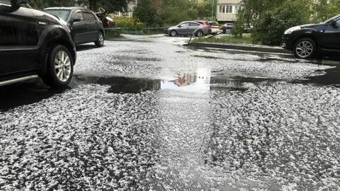 Алтайский гидрометцентр