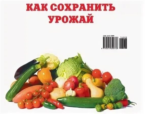 Урожай сотка