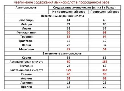 Эта каша богата незаменимыми аминокислотами