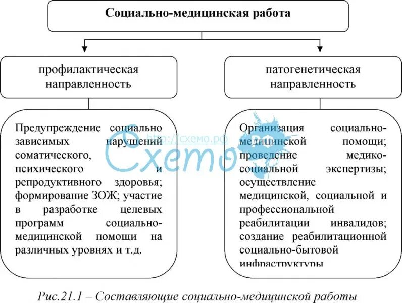 Основы медицинских знаний. Социально медицинское знание. Социально медицинское знание. Социально медицинское знание. Социально медицинское знание.