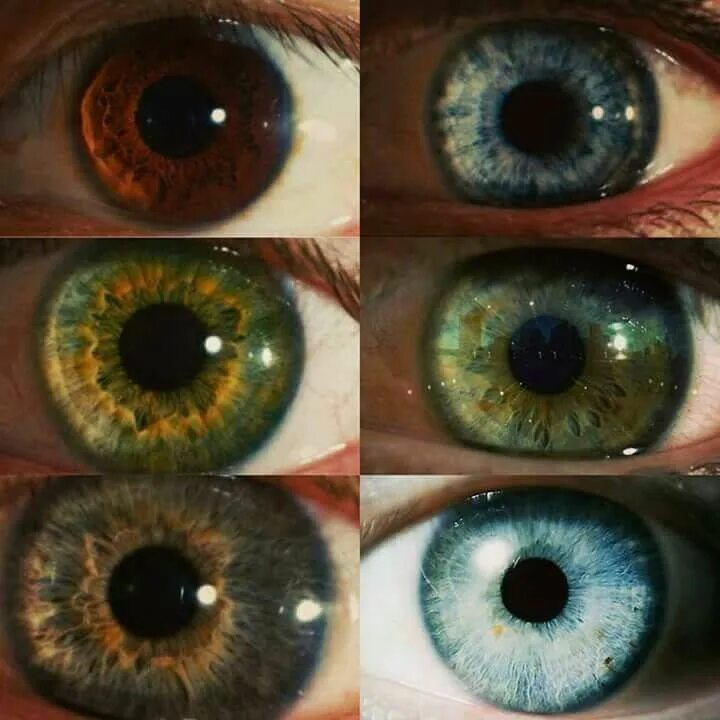 Болотный цвет глаз гетерохромия. WDTRNF cukfp. Оттенки зеленых глаз. Коричнево зеленый цвет глаз.
