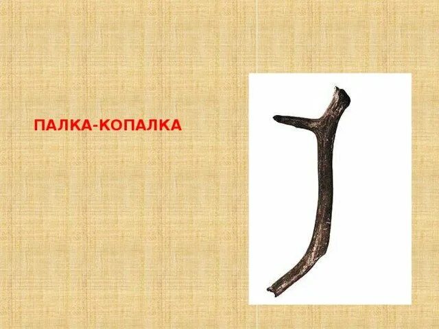 Трость крюк. Палка по английскому. Скажи в рифму. Слово палка. Орудия труда первобытного человека палка копалка.