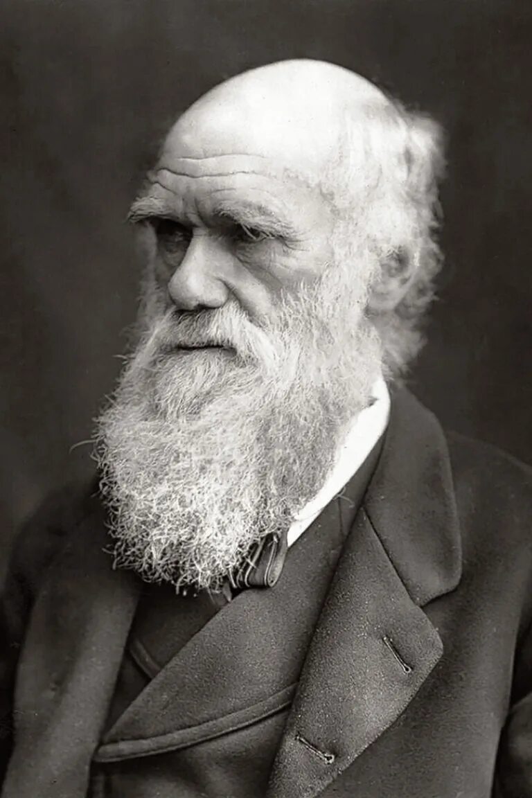 Дж дарвин. Charles Robert Darwin.