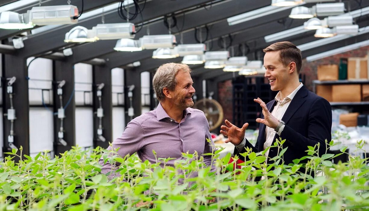 статистика стратапо вв россии. стартап в сельском хозяйстве. доля инвестиций в стартапы. вложить деньги в стартап. типы стартапов.