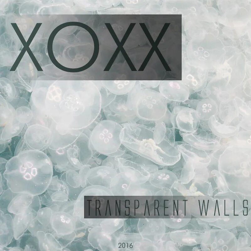 Xoxx. Walls (Original Mix) capa. Ellal xoxx. Xoxx studuonc. Walls original mix