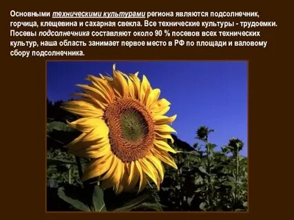 3 технические культуры