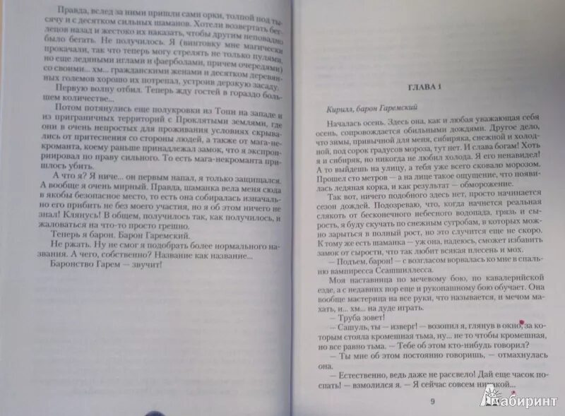 Барон Гаремский. Как назвать баронство в книге. Читать книгу я еще не барон 1