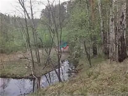 Зеленый лог свердловская область