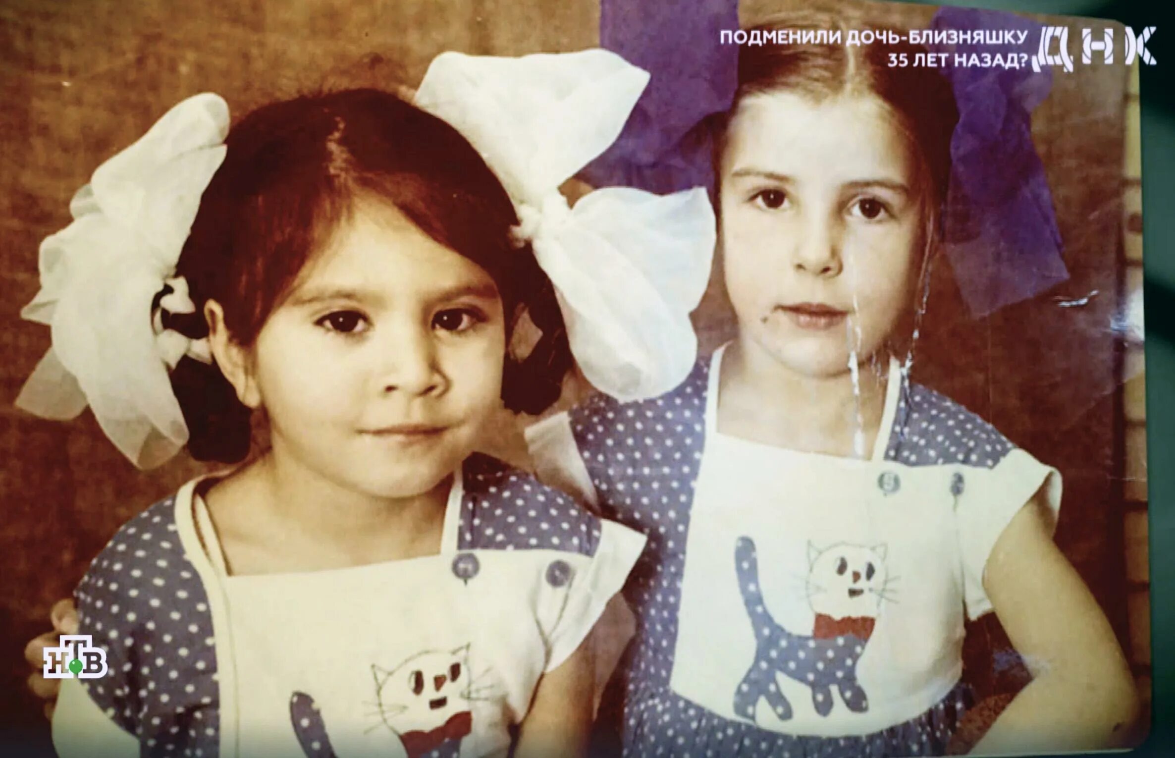 Днк передача на нтв 2020. Днк передача на нтв сестры близнецы. Днк сестры близняшки. Днк передача на нтв. Разлученные близняшки днк на нтв.