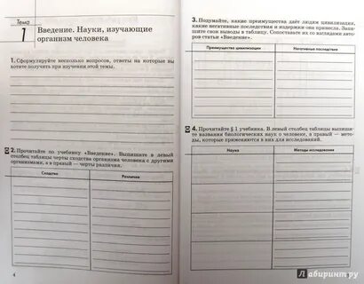 Рабочая тетрадь человек и мир 5 класс