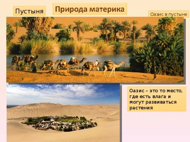 Оазис это простыми словами. Оазис это простыми словами. Оазис в пустыне презентация. Оазис информация. Стоянка каравана в оазисе.