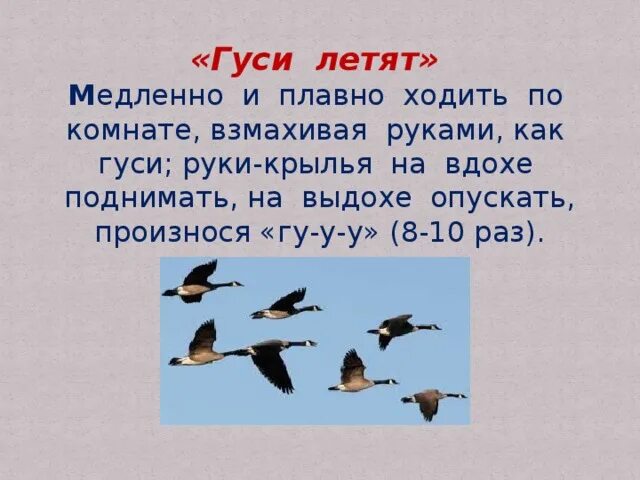К чему снятся летящие гуси. Как летят гуси. дыхательная гимнастика гуси летят. упражнение гуси летят для детей.