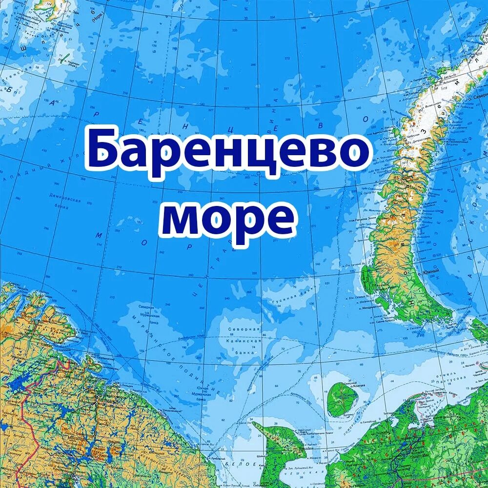 Карта островов баренцева моря. Карта Баренцево мо́ре. Баренцево море на карте. Остров Седова в Баренцевом море на карте. Окраинные моря Баренцево море.