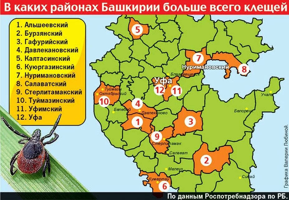 Карта распространения энцефалитных клещей. Клещевой энцефалит в подмосковье. Энцефалитный клещ распространение. Карта распространения энцефалитных клещей. Энцефалитные клещи в подмосковье карта.