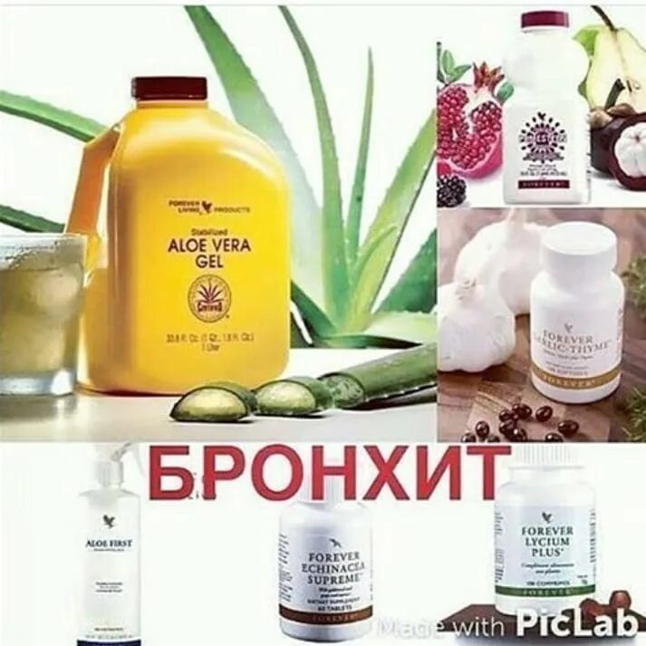 Алоэ бронхи. Форевер алоэ вера бронхит. алоэ вера форевер геморрой. алоэ вера форевер астма. алоэ вера форевер продукция в москве.