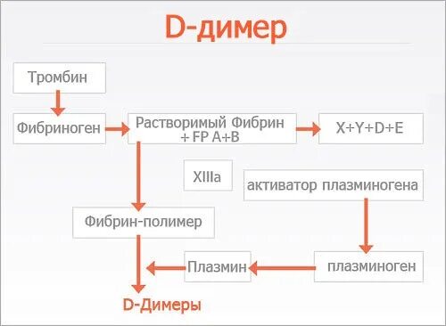 Димер повышен в крови. Показатель крови д-димер норма. Д димер 0.126. Нормы д димера при коронавирусе. Таблица нормы д димера у женщины.