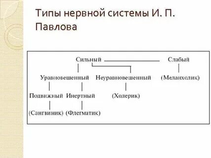Типы по павлову