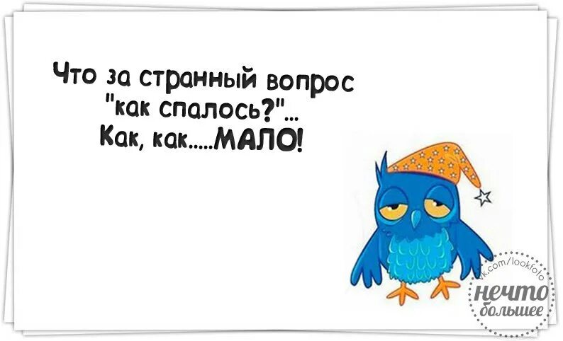 Как спалось ответ. Как ответить на как спалось. картинки нечто большее. что за странный вопрос как спалось. как ответить на вопрос как спалось парню.