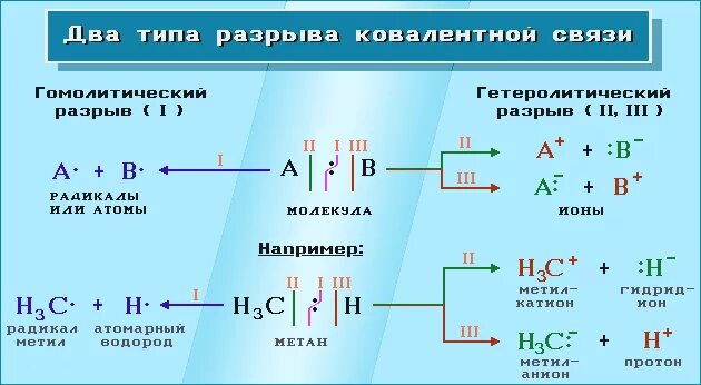 Механизм образования химической связи в катионе. Способы разрыва химических связей в органических соединениях. Классификация реакций по механизму разрыва ковалентной связи. Типы разрыва ковалентной связи в органических соединениях. Гомологический разрыв ковалентной связи.