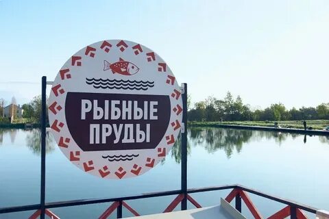 Пруды ропша