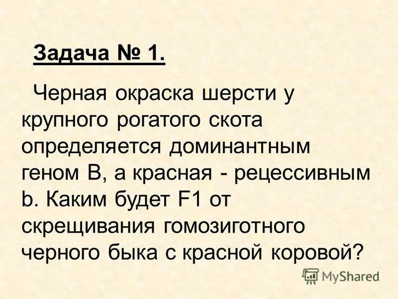 У морских свинок гладкая шерсть определяется рецессивным