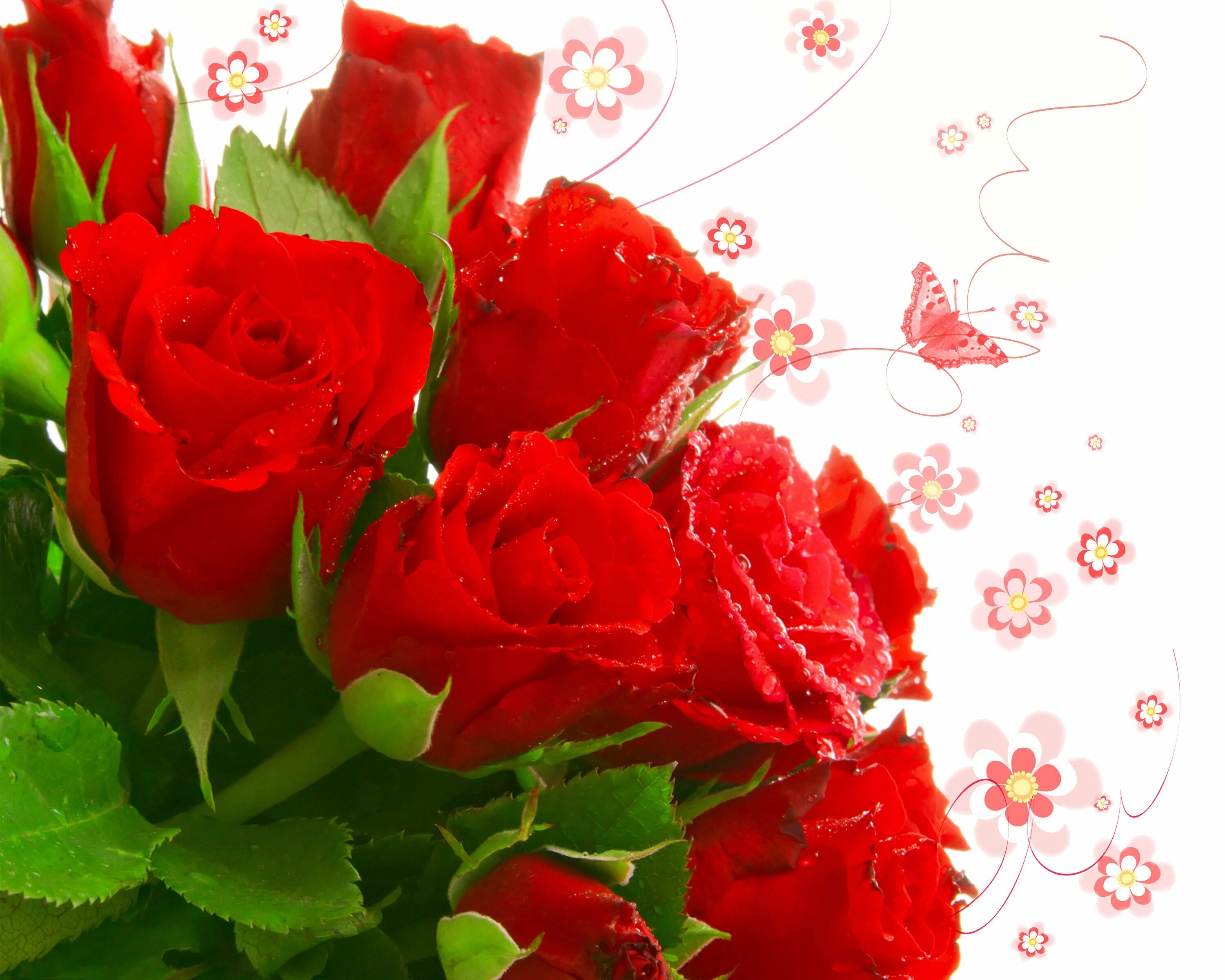 Открытка цветы. Открытки с розами. Красные розы открытка. Цветы поздравления.