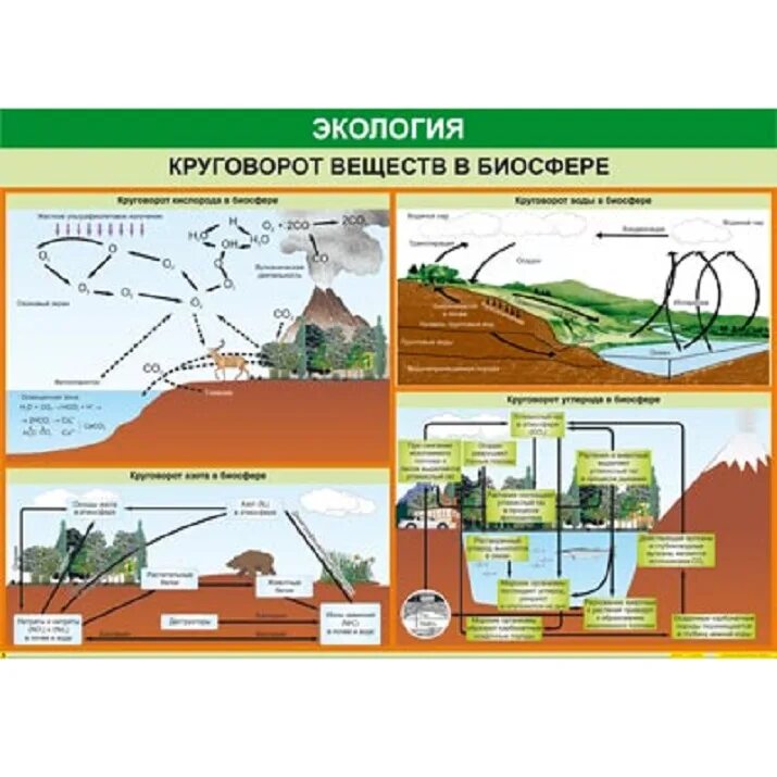 Презентация круговорот веществ в биосфере 9 класс. Круговорот веществ в биосфере. круговорот веществ в биосфере схема. круговорот в биосфере. круговорот веществ в биосфере таблица.