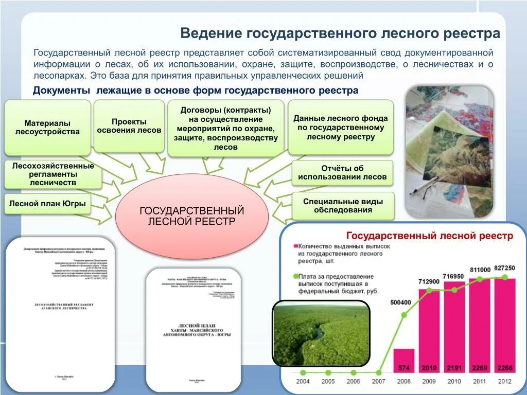 Порядок ведения государственного реестра лесных участков. Государственный Лесной реестр. Сведения из лесного реестра. Государственный Лесной реестр документ.