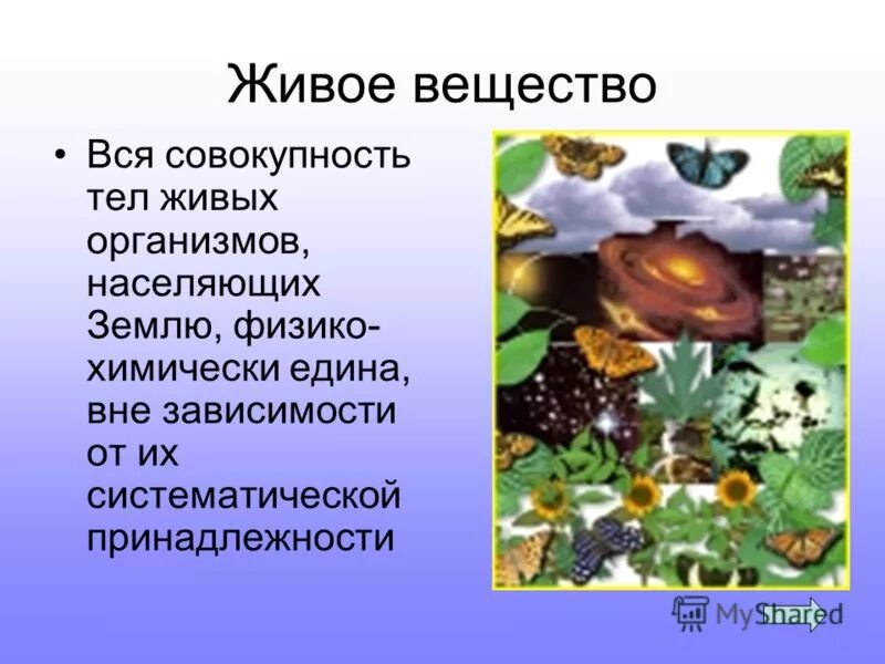 Живое вещество. Живое вещество совокупность всех живых организмов. Химия и живые организмы. Живое вещество — живые организмы, населяющие.