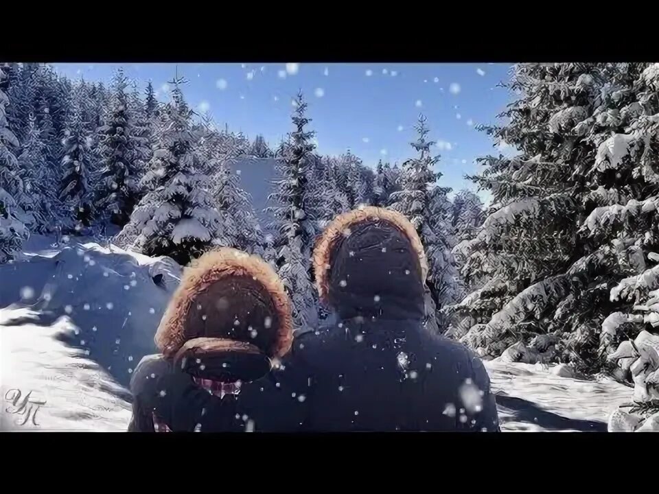 Зимние песни фото Ах, Боже мой, какая жалость YouTube
