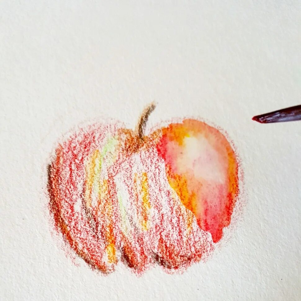 милые животные акварельными карандашами. милые иллюстрации цветными карандашами. мышонок нарисованный милый. идеи для рисования. милые рисунки карандашом цветными.