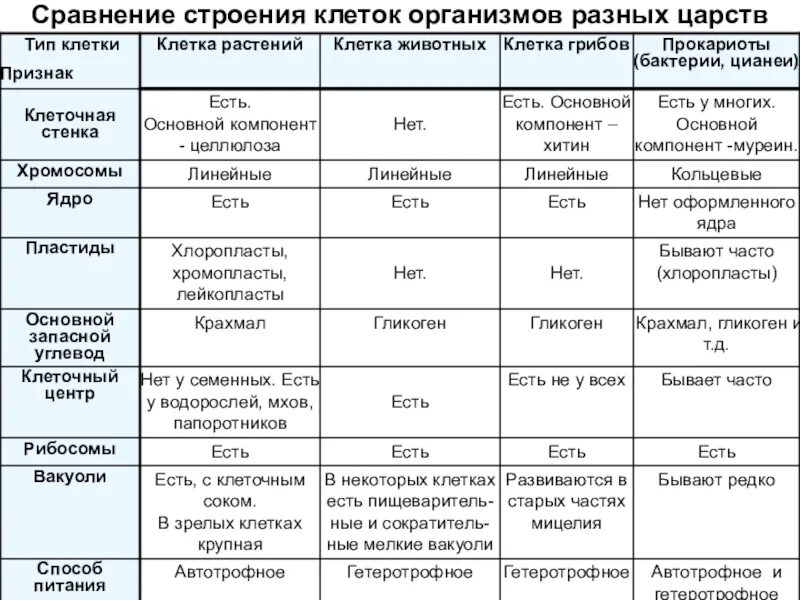 Отличие материалов от основных. Сравнение строения клеток разных Царств таблица. Сравнение клеток растений животных грибов и бактерий. Таблица различий клеток разных Царств. Сравнение строения клеток организмов разных Царств.