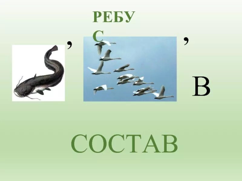 Ребусы со словами. Ребусы 3 класс. Ребусы про русский язык. Ребус предложение. Ребус слова русский