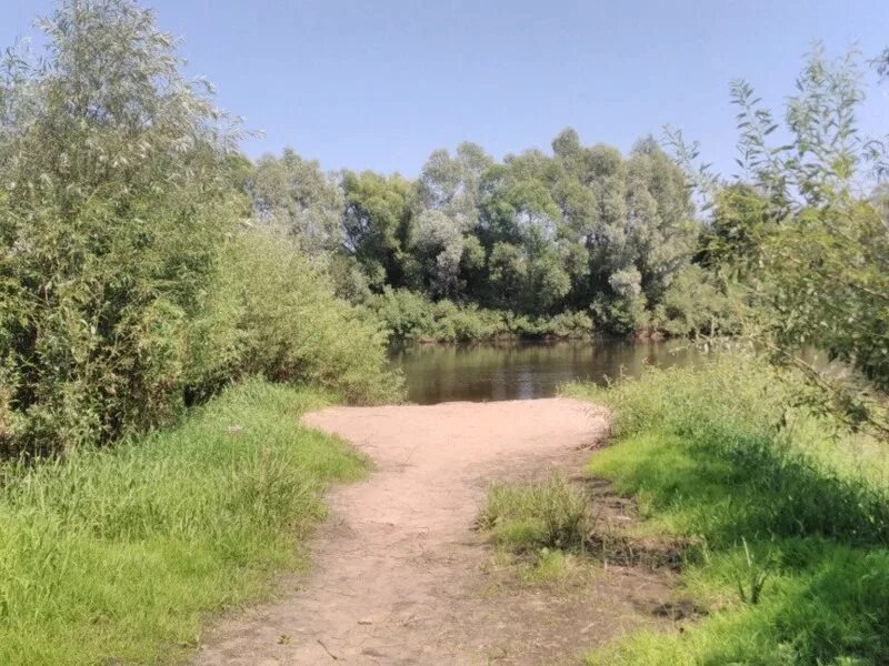 Погода на неделю в сасове рязанской. Темгенево Сасовский район. Темгенево Рязанская область. Крестьянки деревня Сасово Рязанской области. Темгенево Городище Рязанская область.