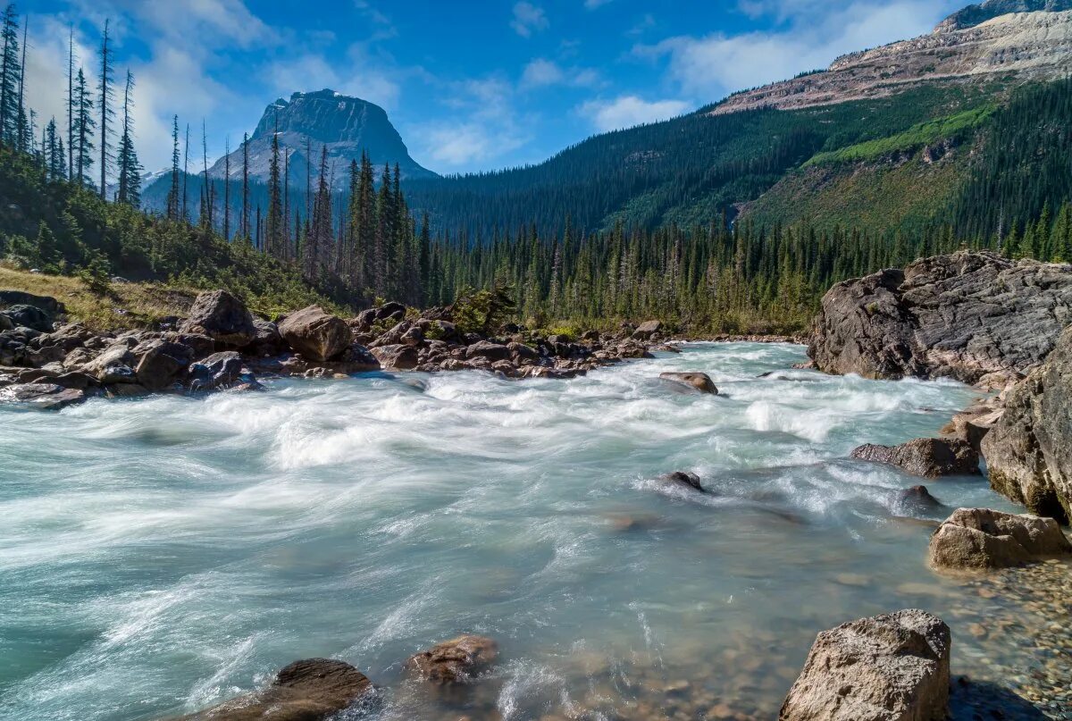Какие крупные реки в канаде. Наамиш река Канада. Национальный парк Йохо Канада. Река Колумбия в Северной Америке. Река Колумбия Канада.