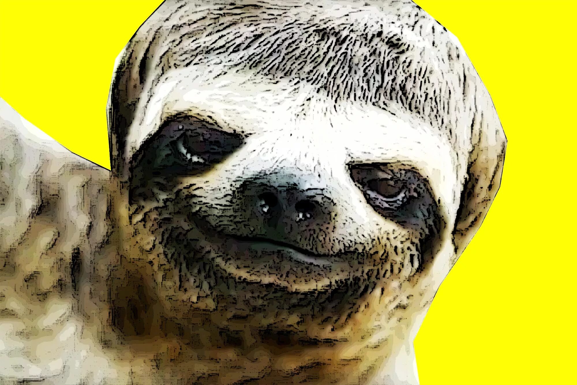 Звери дауны. Животные с синдромом дауна. Умственно отсталый тигр кенни. Умственно отсталые животные. Котята дауны.